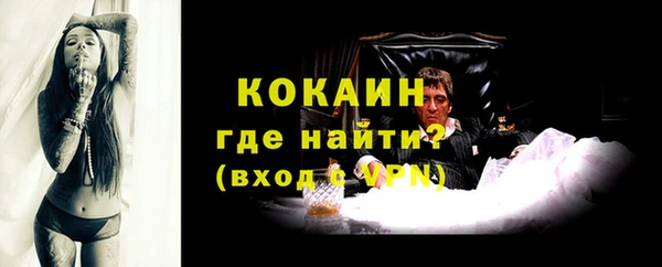 apvp Алексин