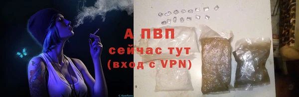 apvp Алексин