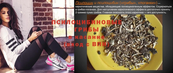 МДПВ Алзамай